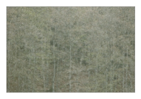 Bei heftigsten Aprilwetter im Schmeietal, inszenierte die Natur ein Gemälde aus Schnee, Graupel und zart sprießenden grün auf Buchen und Birken.